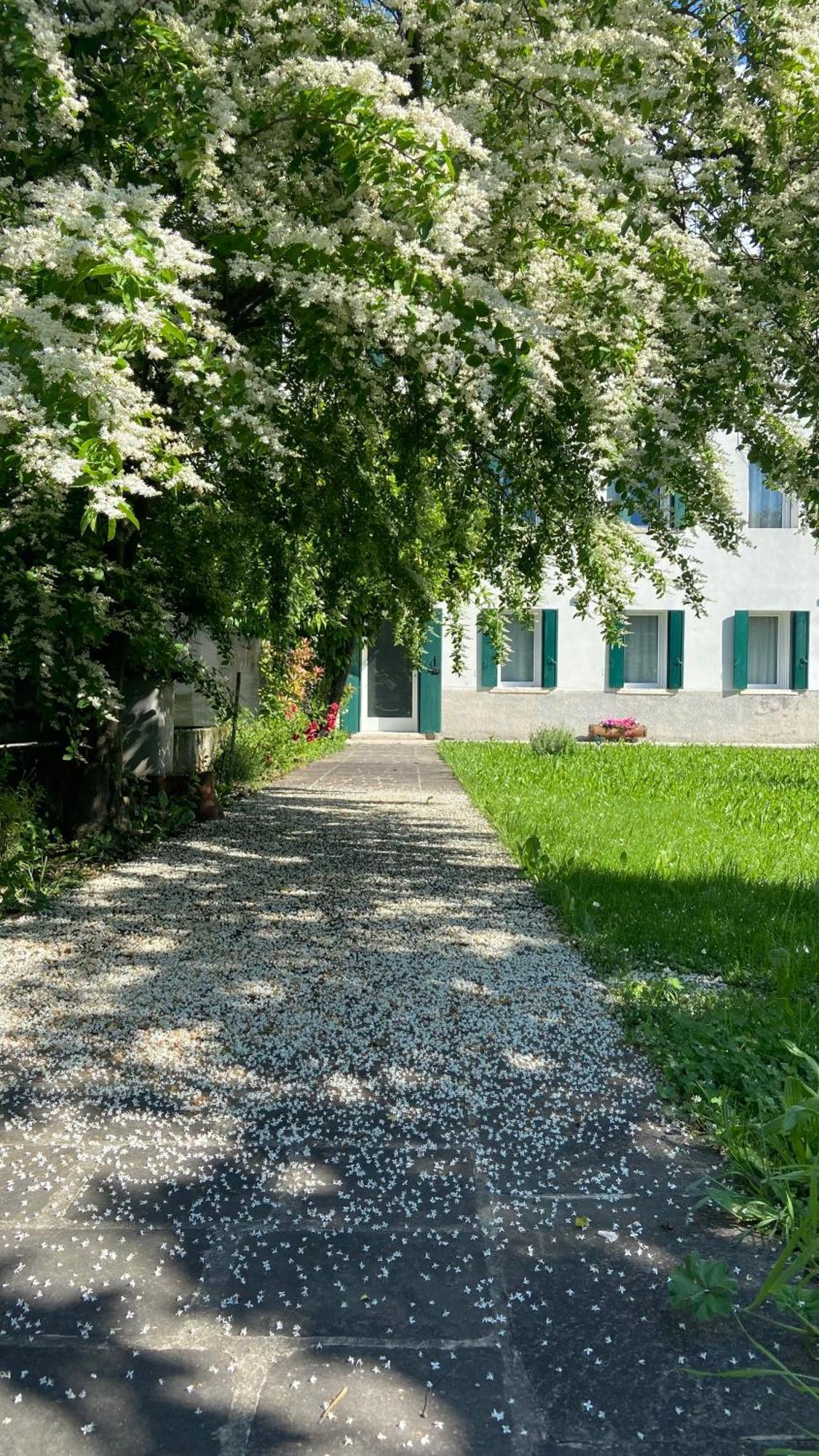 Magnolia 41 Possagno Exterior foto
