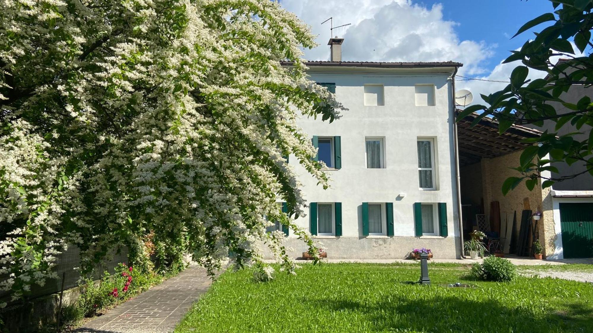 Magnolia 41 Possagno Exterior foto